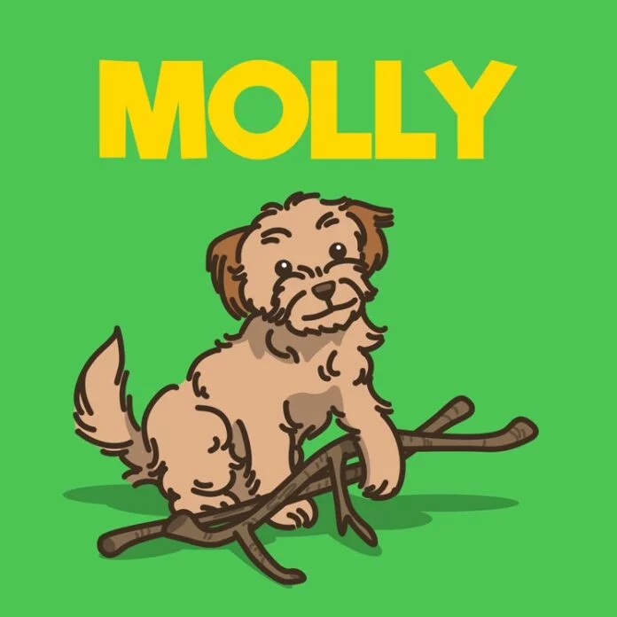 Pet & Prop in Cartoon