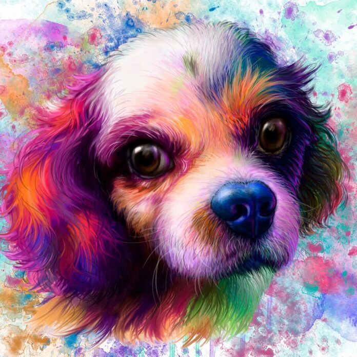 A dog drawing of rainbow style