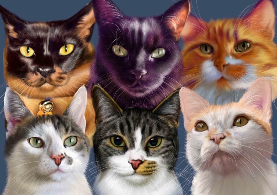 Realistic drawing of 6 cats