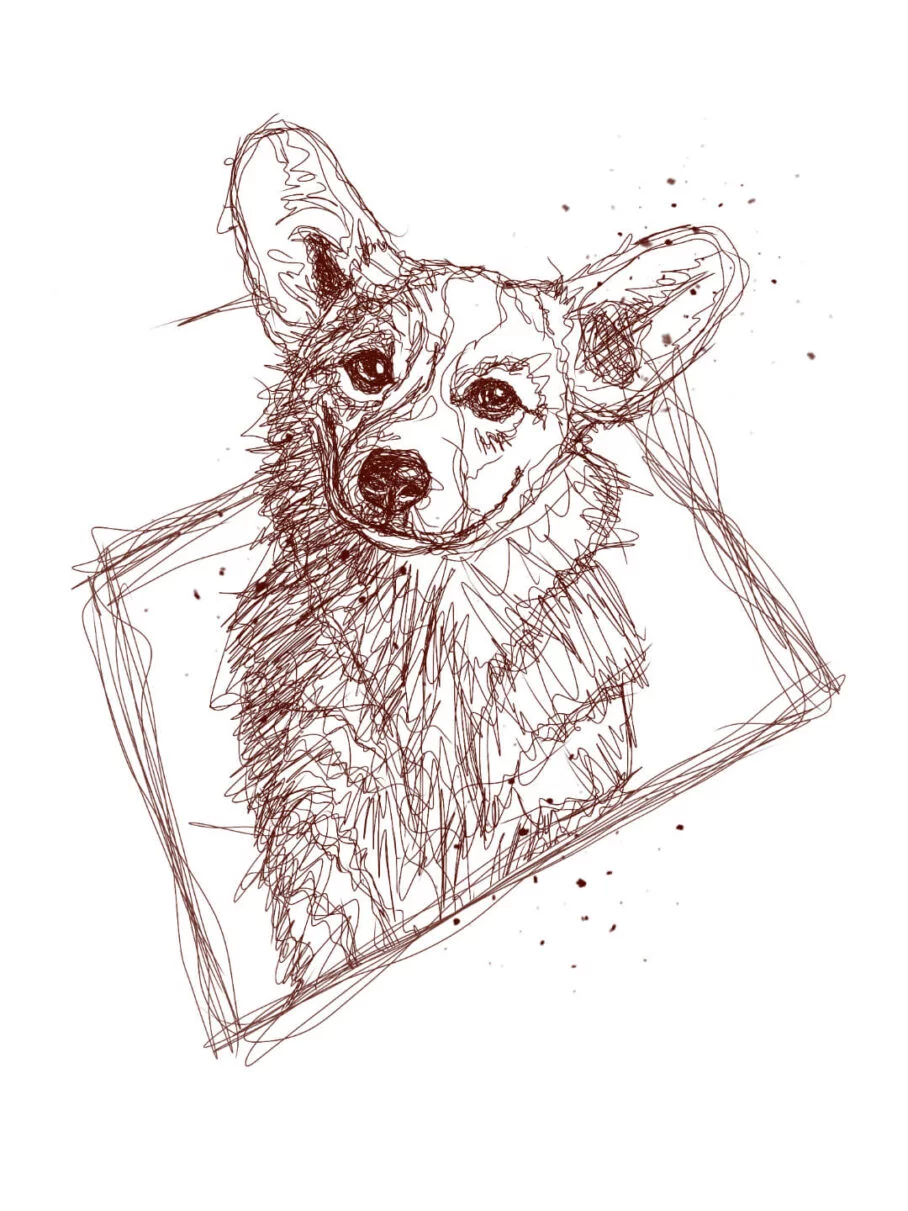 A scribble drawing of a dog face