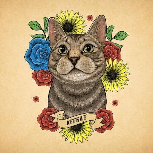 illustration Color of a Cat Portrait