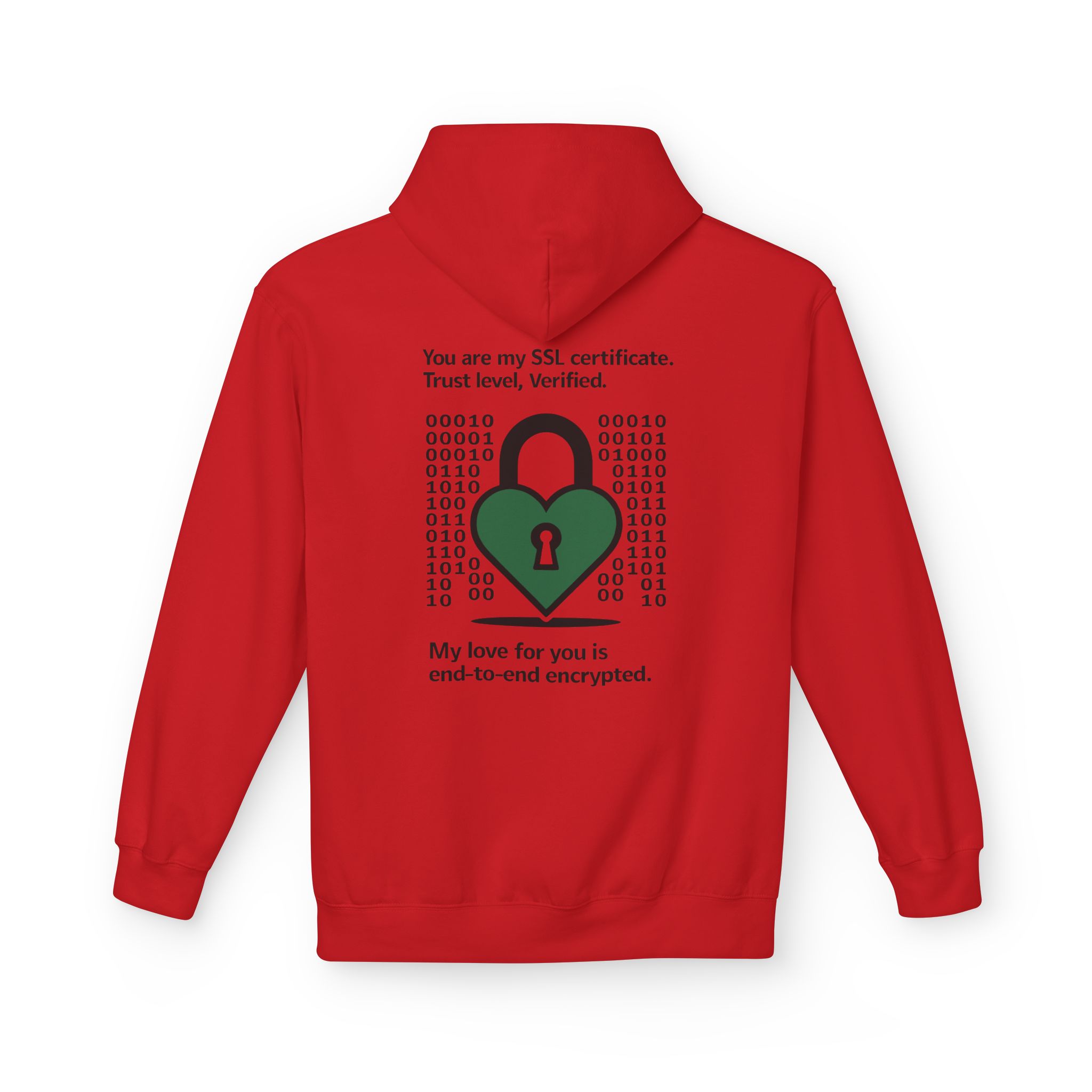 End-to-End Encrypted Love Softstyle Hoodie