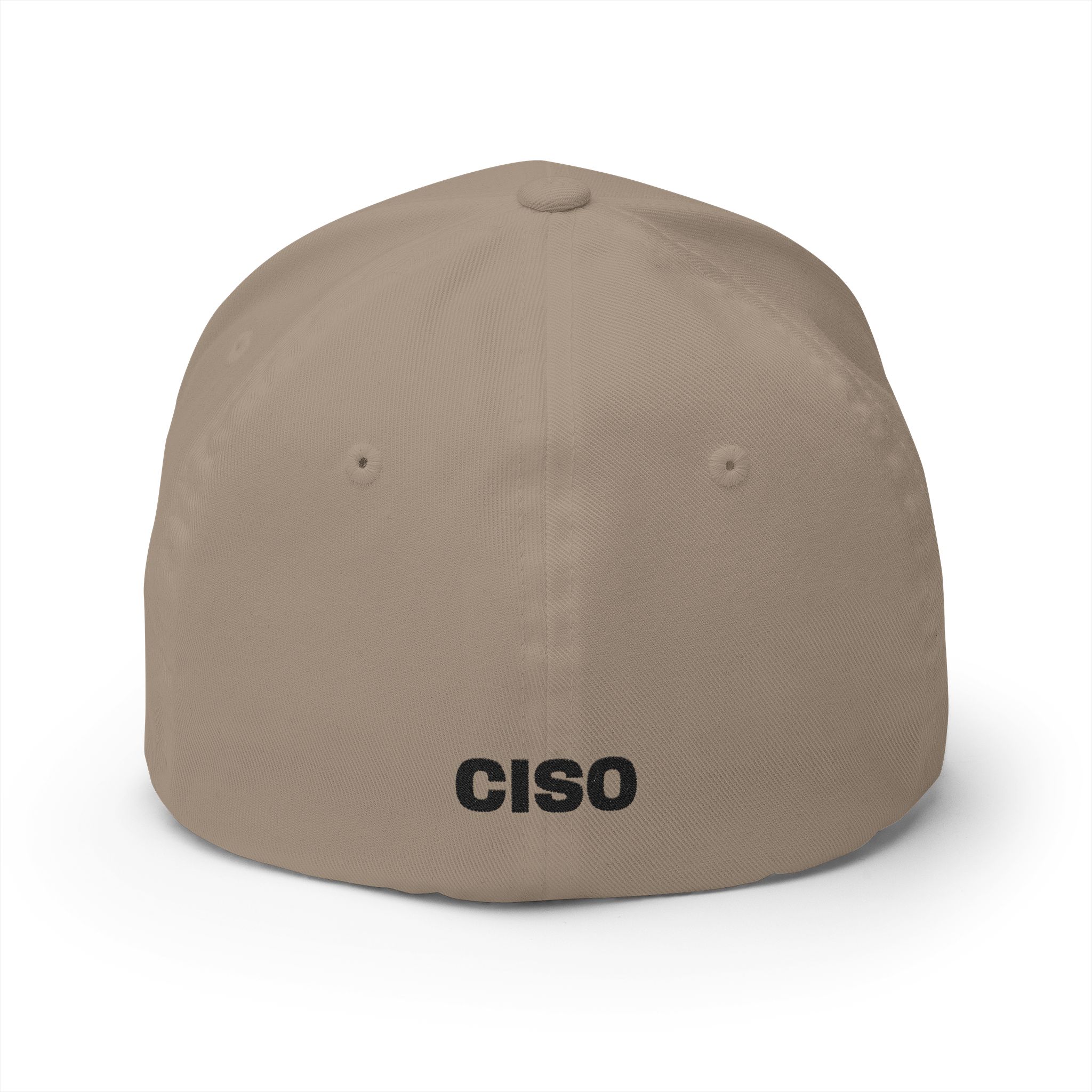 CISO Cybersecurity Cap 6277