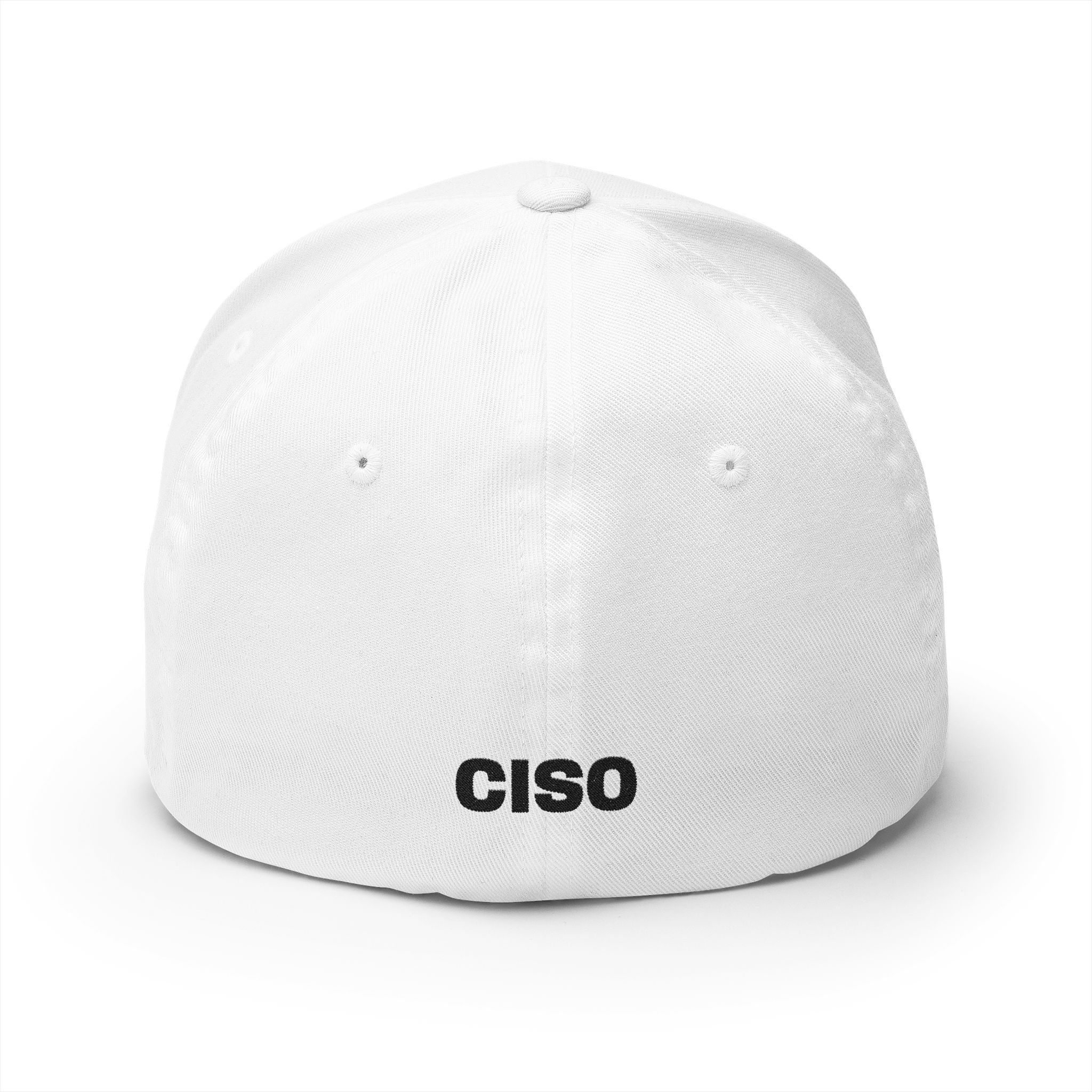 CISO Cybersecurity Leadership Cap 6277