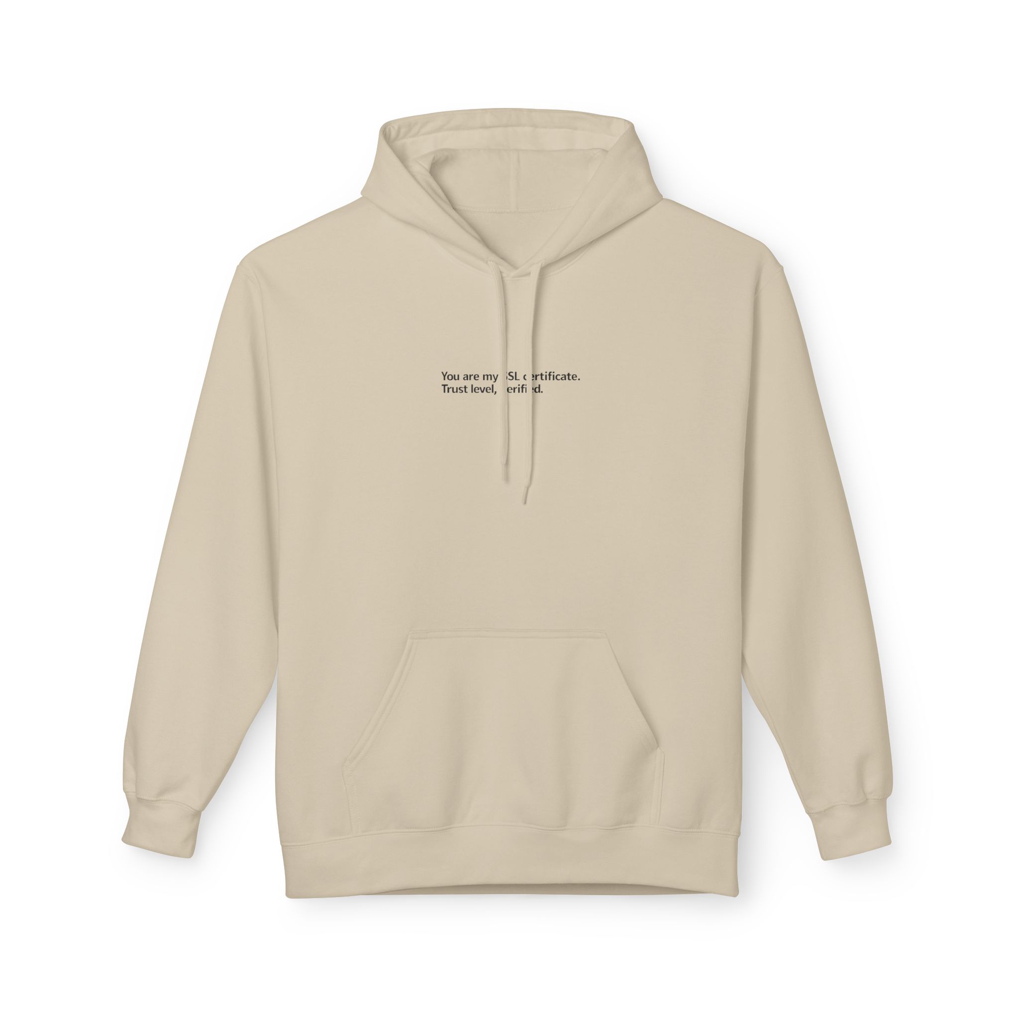 End-to-End Encrypted Love Softstyle Hoodie