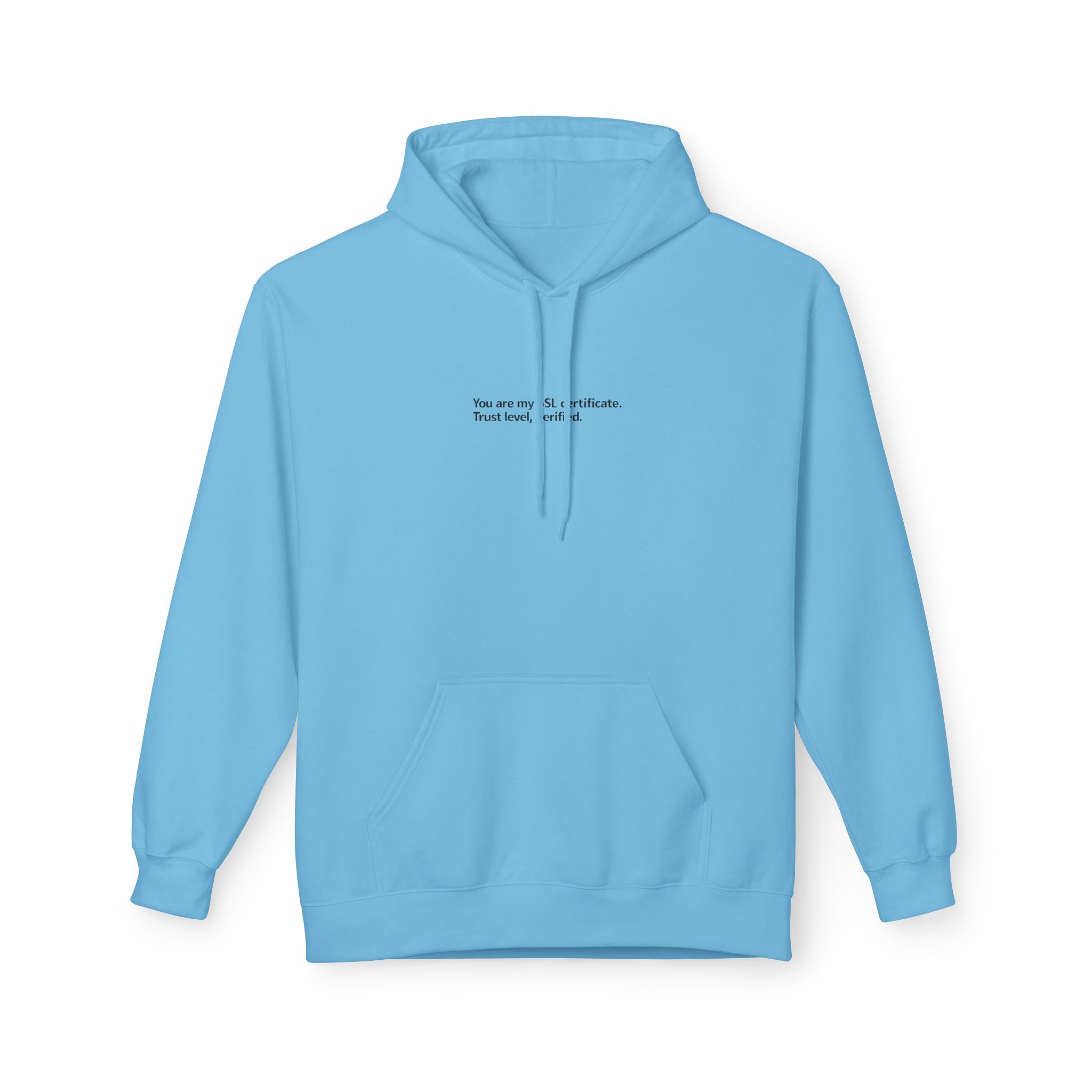 My love for you is end-to-end encrypted Softstyle Hoodie