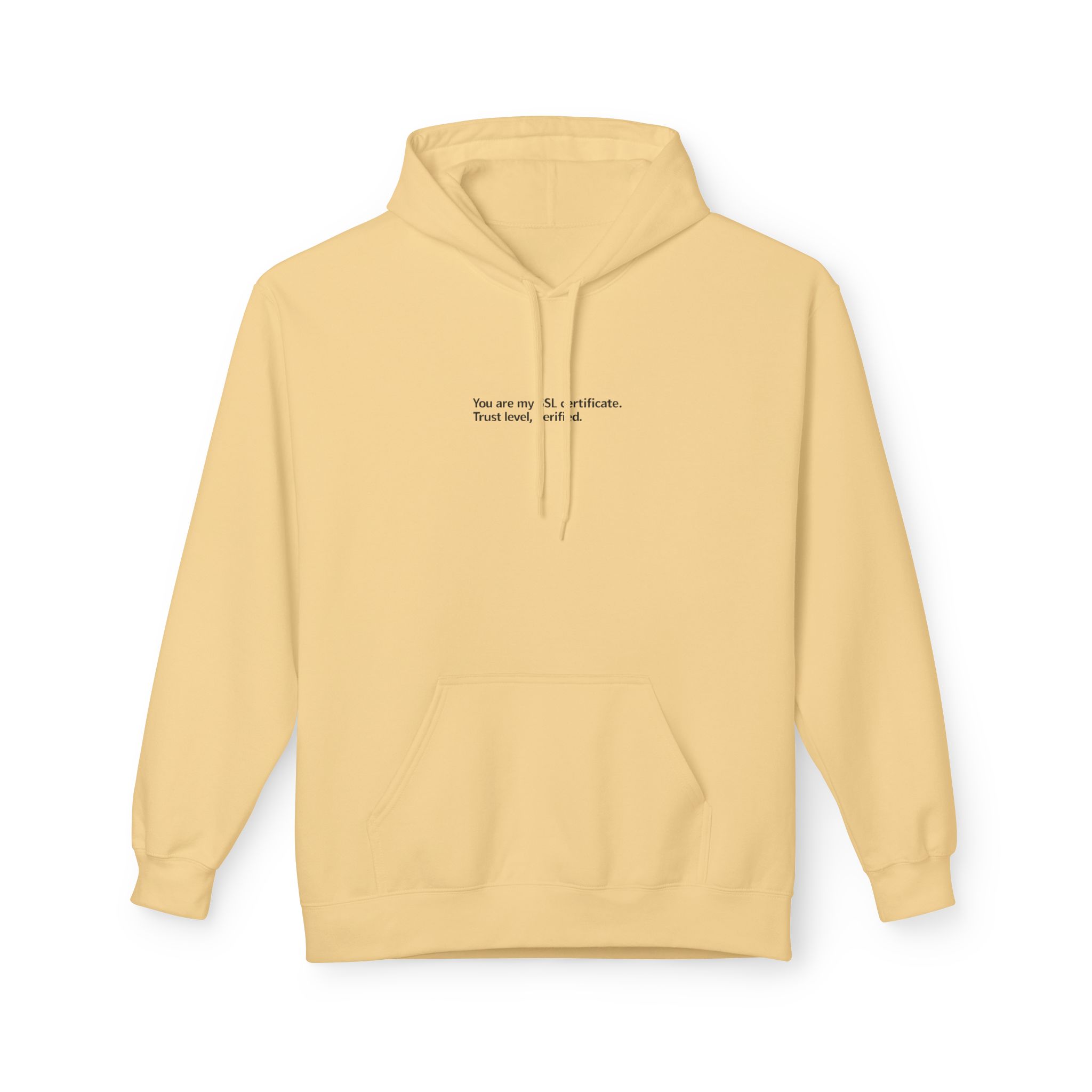 My love for you is end-to-end encrypted Softstyle Hoodie
