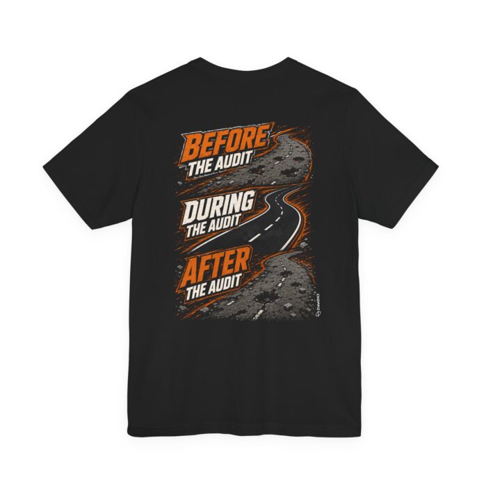 Before During After the Audit T-Shirt